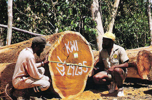 forestindustry03.jpg - 0 Bytes