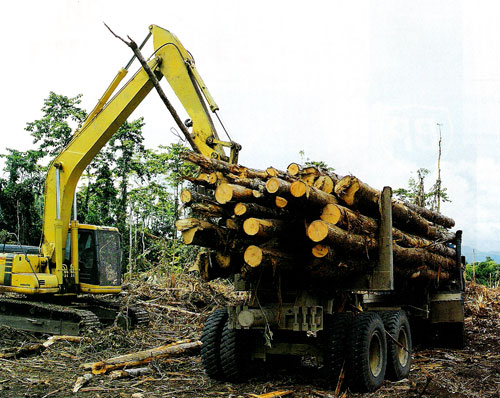 forestindustry04.jpg - 0 Bytes